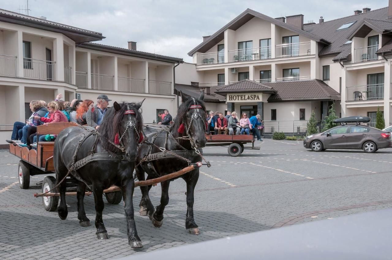 Отель Hotel Spa Rusałka Окунинка-9